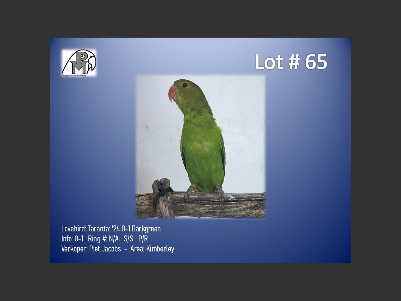 images