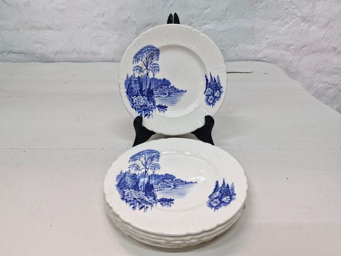 Set of 6 Vintage Myott Son & Co. "Homeland" Side Plates
