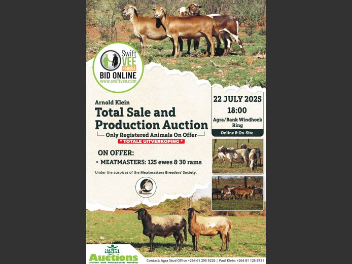ARNOLD KLEIN TOTAL SALE AND PRODUCTION AUCTION