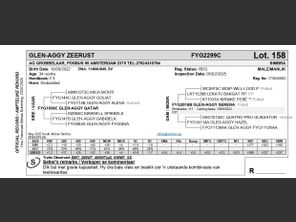 genetic_data