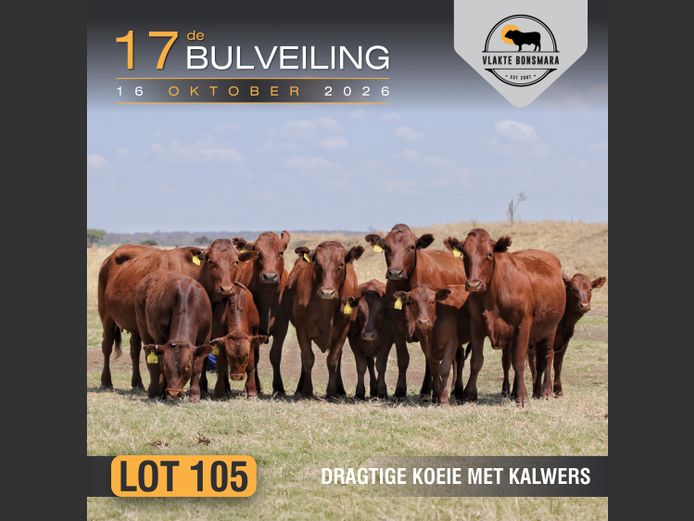 Commercial Animals | Tian Kruger Boerdery