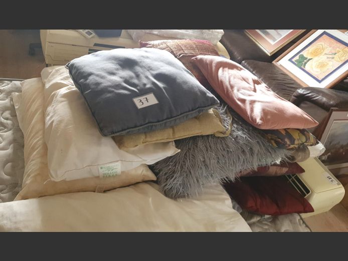 LOT: SCATTER CUSHIONS, PILLOWS, SUITCASE, etc