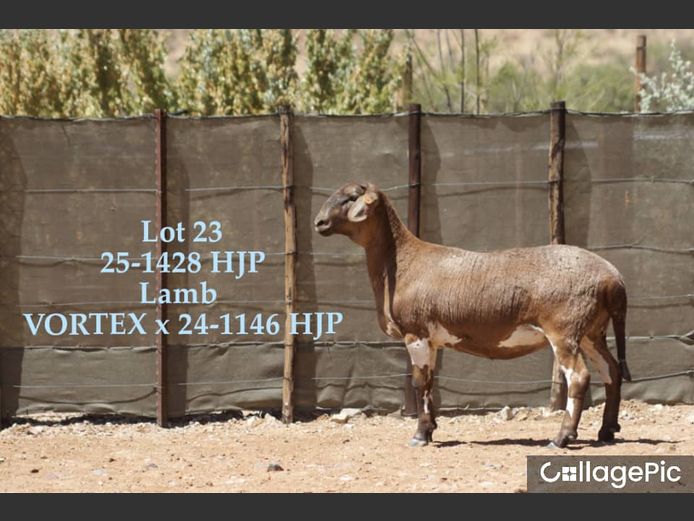 25-1428 HJP | SORENTO MEATMASTERS