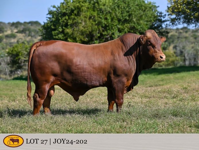 JOY240202 | FETTING LIVESTOCK TRUST