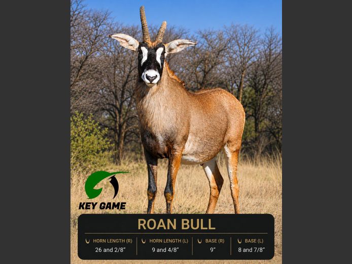ROAN / BASTER GEMSBOK | KEY GAME