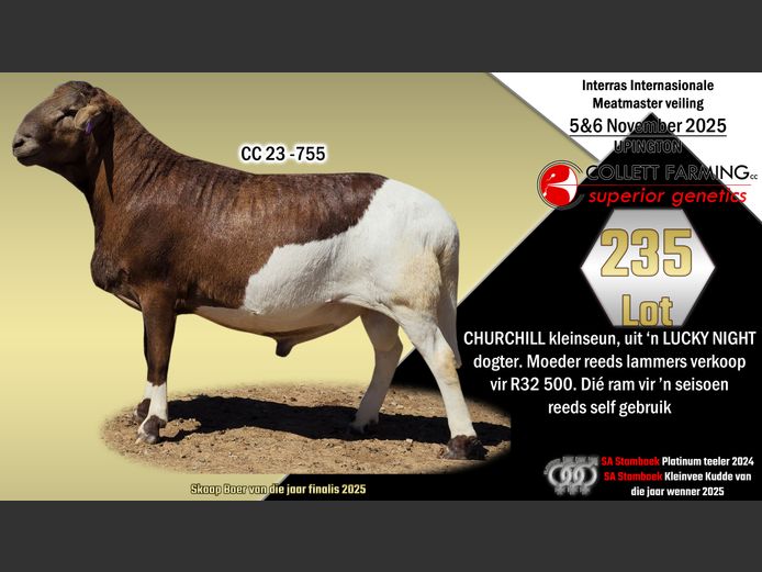 CC 23-755 | SUPERIOR GENETICS