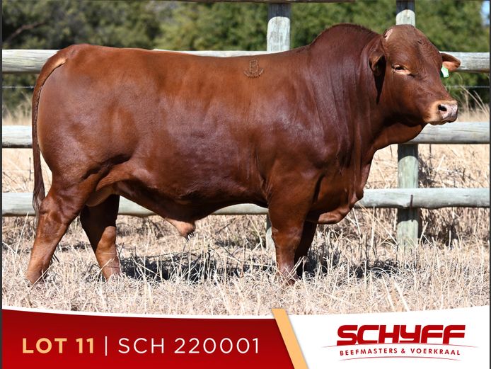 SCH 220001