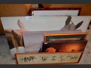 images