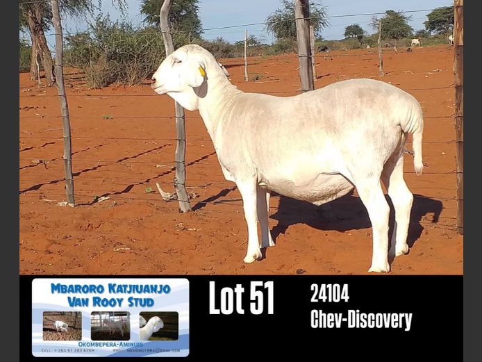 24104 | MBARORO KATJIUANJO VAN ROOY STUD