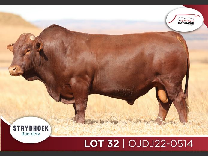 OJDJ22-0514
