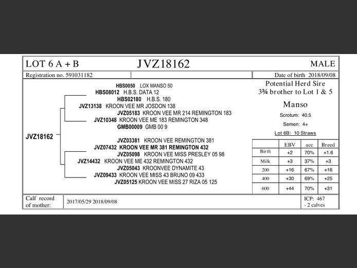 JVZ18-162