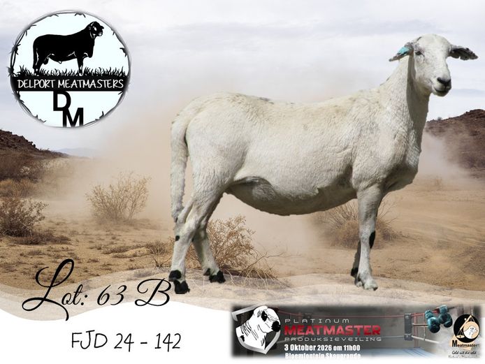 FJD 24-142 | Delport Boerdery