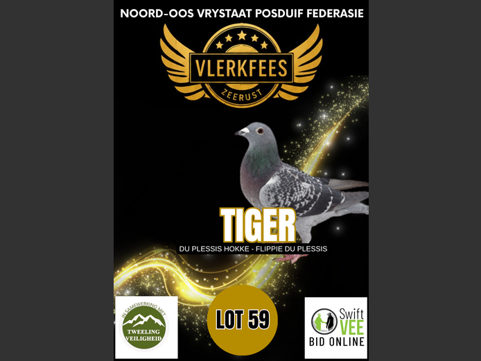 TIGER | DU PLESSIS HOKKE - FLIPPIE DU PLESSIS