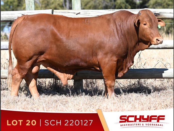 SCH 220127