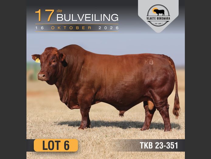TKB230351 | TIAN KRUGER BOERDERY PTY LTD