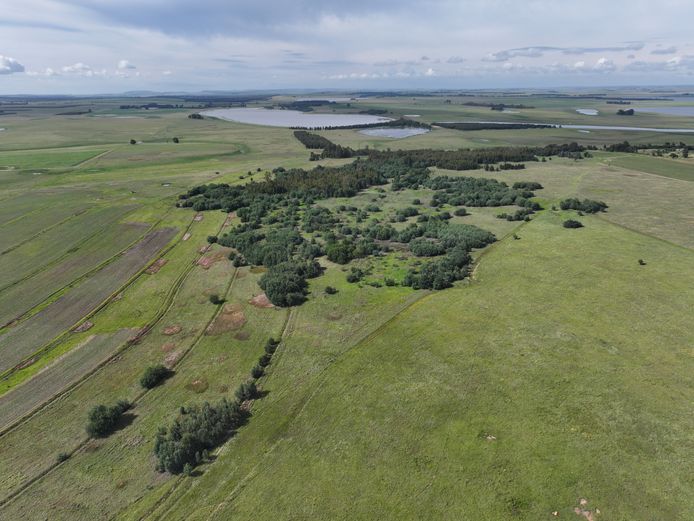 Portion 6 of Farm 102 Lake Banagher Reg Div: IT