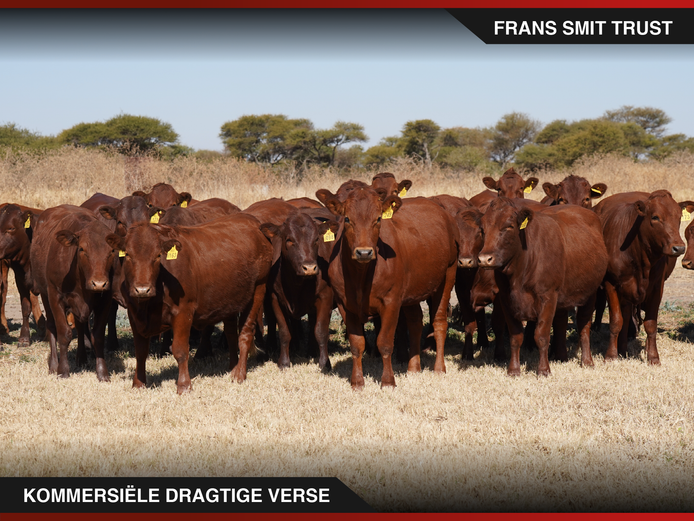 Commercial Animals | Frans Smit Trust