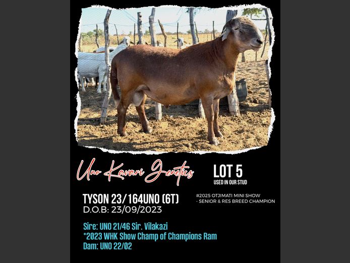 23-164UNO | UNO KAVARI GENETICS