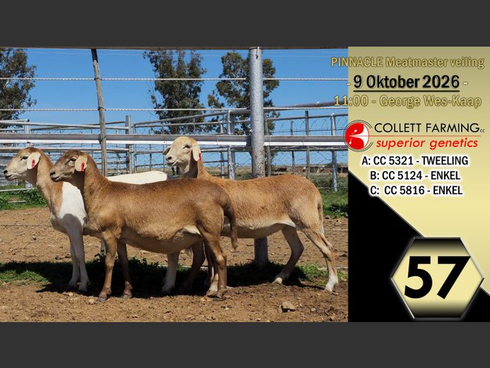 CC250124 | COLLETT FARMING CC