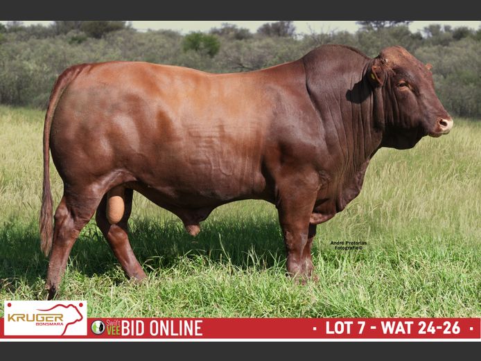 WAT 240026 | KRUGER BOERDERY