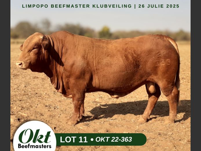OKT 220363 | J.H. SCHOEMAN