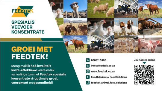 Feedtek 