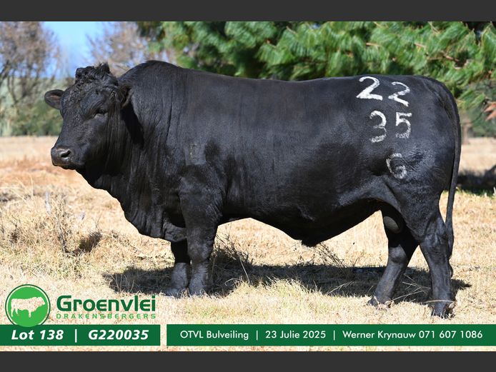 G   220035 | MRN. L.J. & W.J. KRYNAUW