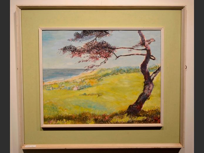 FRAMED OIL ON BOARD "WINDBLOWN TREE", 49.6 x 39.6cm