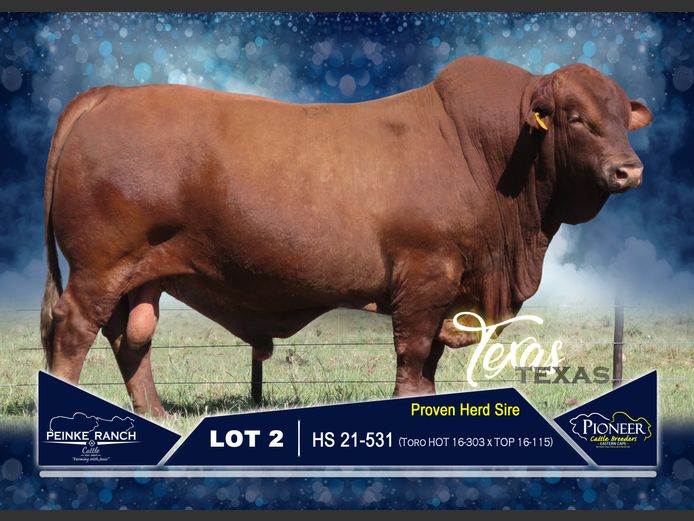 HS 210531 | PEINKE RANCH