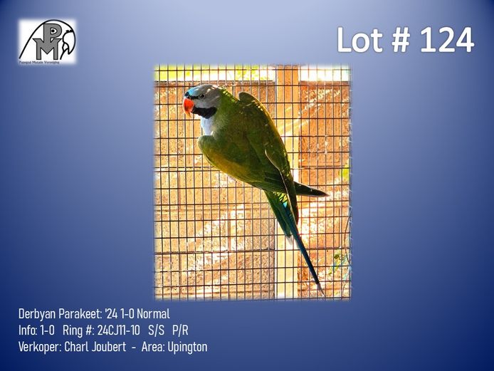 1-0 '24 Derbyan Parakeet: Normal - Charl Joubert