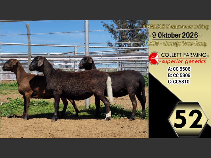 CC250506 | COLLETT FARMING CC
