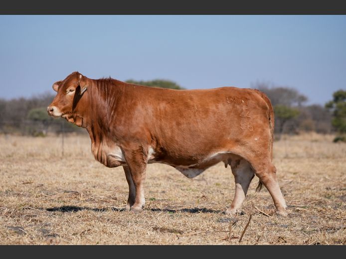 BOG 220066 | BEEF ON GRASS PTY LTD