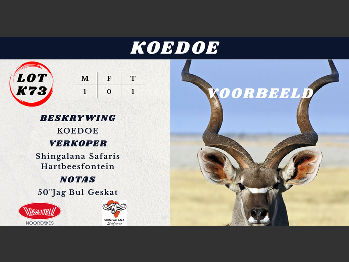 KOEDOE
