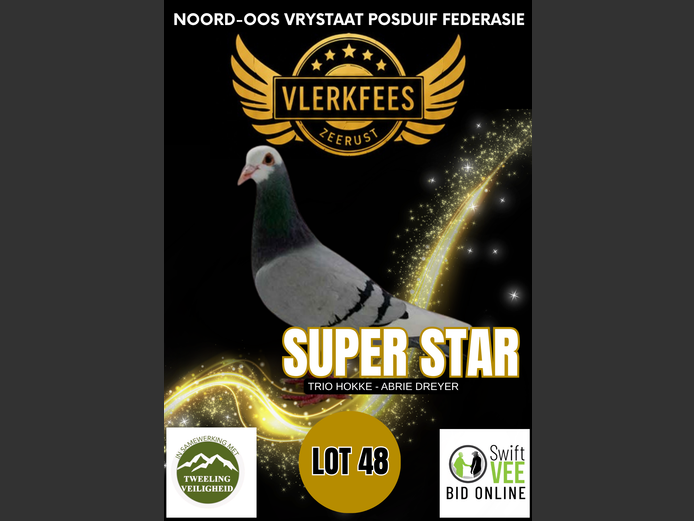 SUPER STAR | TRIO HOKKE - ABRIE DREYER