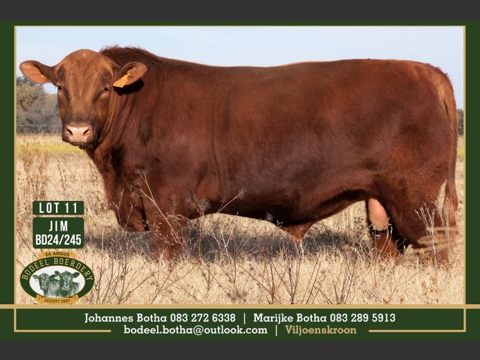BD240245 | BODEEL BOERDERY