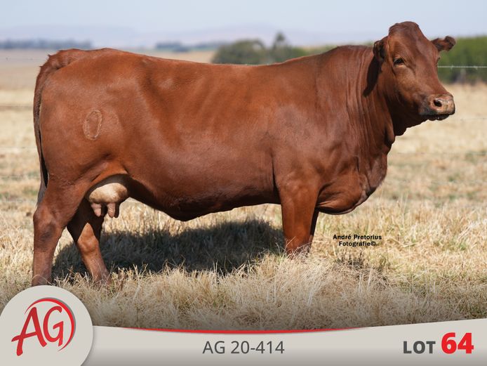 AG200414 HH(c) | ARTHUR DE VILLIERS & SEUN