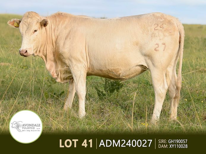 ADM240027 | A.D. MULLINS