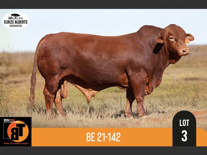BE21142