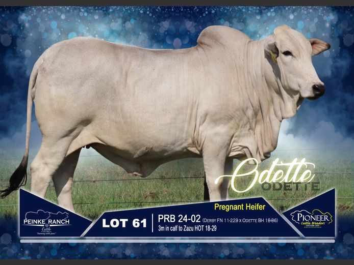 PRB 240002 | PEINKE RANCH