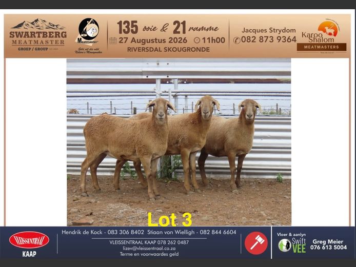 B25.132 | KAROO SHALOM