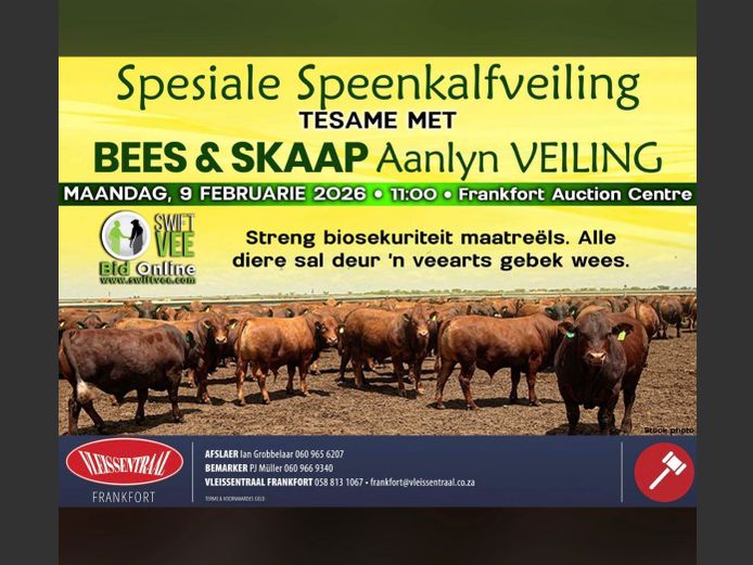 SPESIALE SPEENKALF EN BEES EN SKAAP AANLYN VEILING