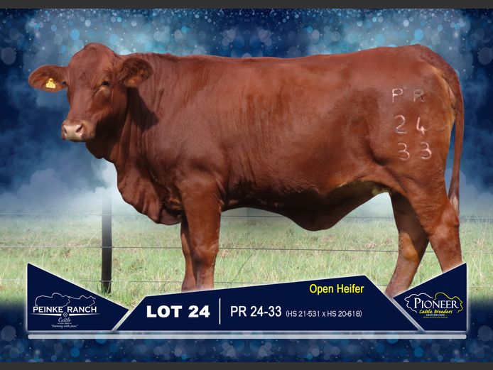 PR 240033 | PEINKE RANCH