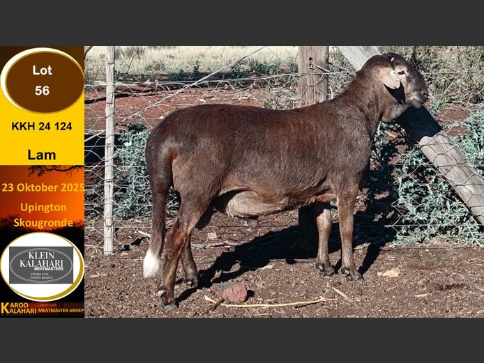 KKH 24.124 | Tommy Bissett - Klein Kalahari Meatmasters