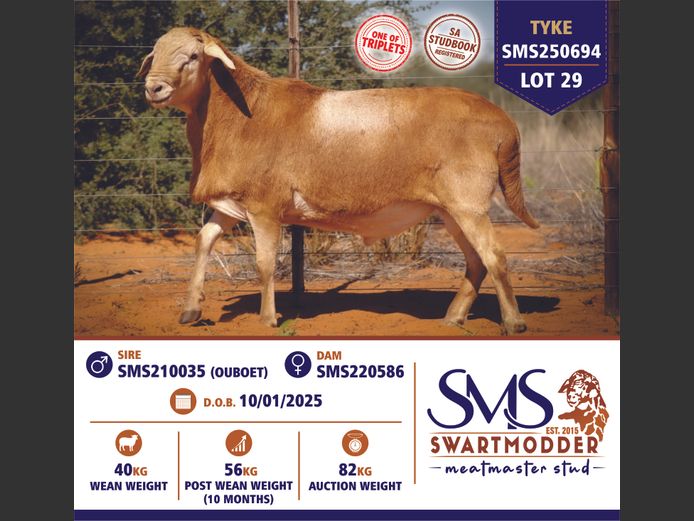 SMS250694 | SWARTMODDER MEATMASTER STUD