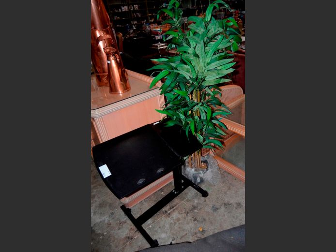 EVERLASTING SHRUB & AN ADJUSTABLE LAPTOP TABLE, 59 x 35 x 62cm [Top Loose]