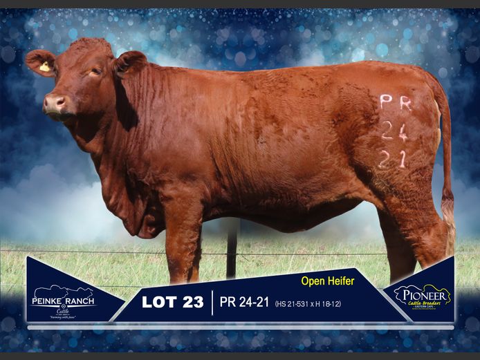 PR 240021 | PEINKE RANCH