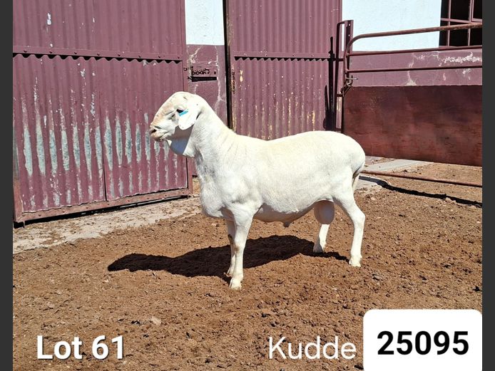 25095 | KASTEEL VAN ROOY RAMME