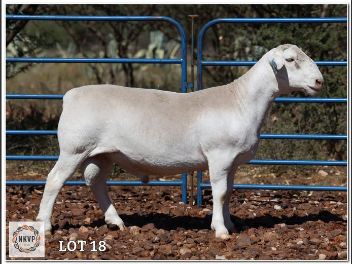 2280 24 0315W | LOUIS J. VAN RENSBURG, H/A MNR. E. VAN RENSBURG 