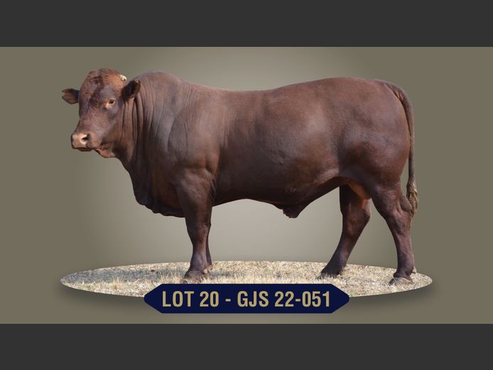 GJS220051 | G.J. STRYDOM