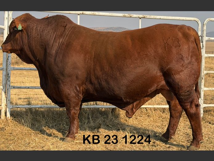 KB231224